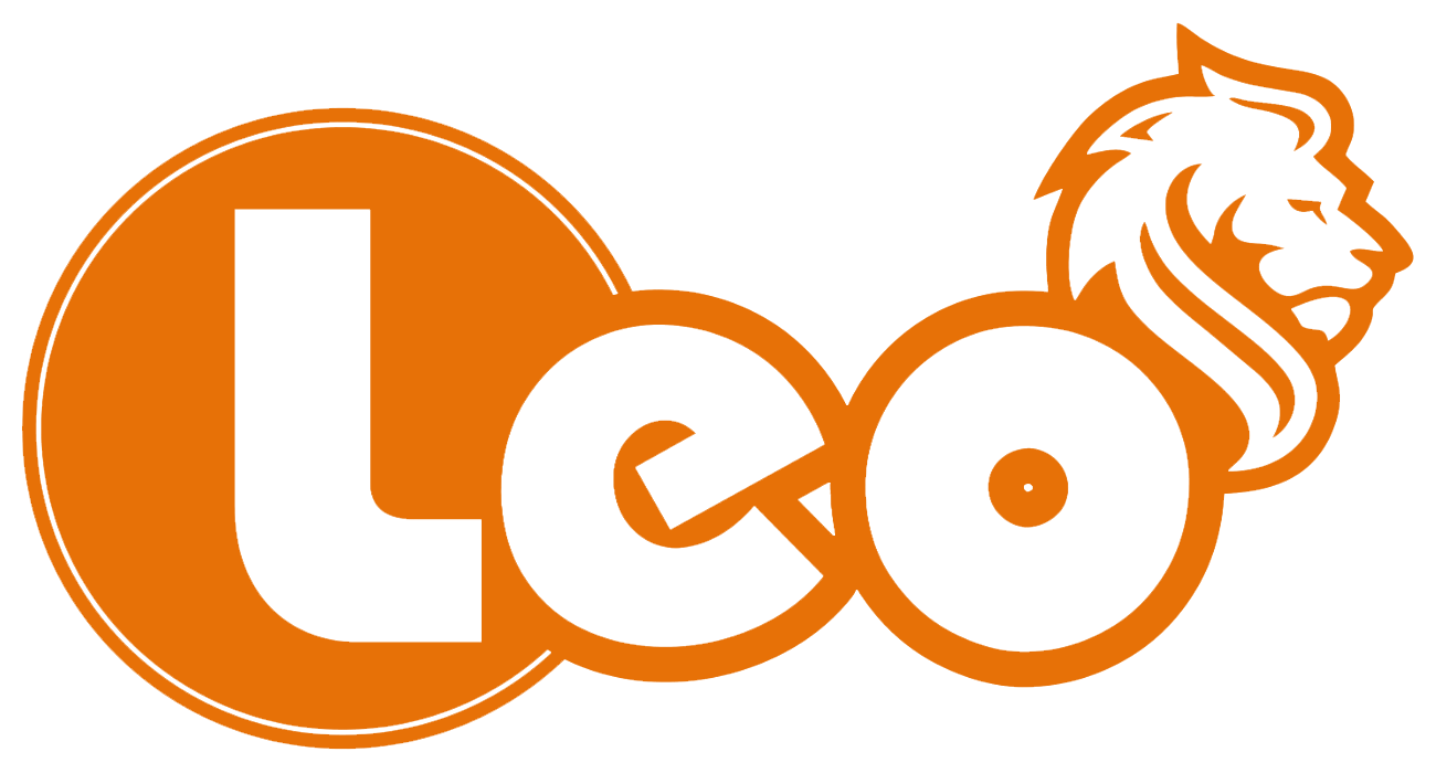 Leo Security Solutions